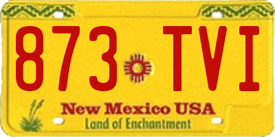 NM license plate 873TVI