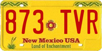 NM license plate 873TVR