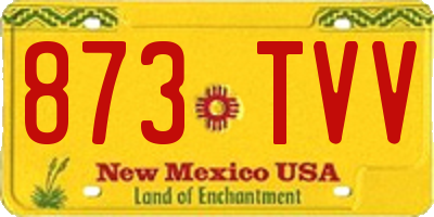 NM license plate 873TVV