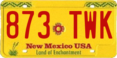 NM license plate 873TWK