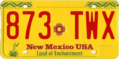 NM license plate 873TWX
