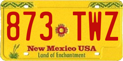 NM license plate 873TWZ
