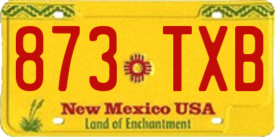 NM license plate 873TXB