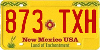 NM license plate 873TXH