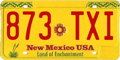 NM license plate 873TXI