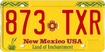 NM license plate 873TXR
