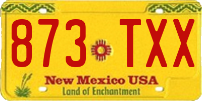 NM license plate 873TXX