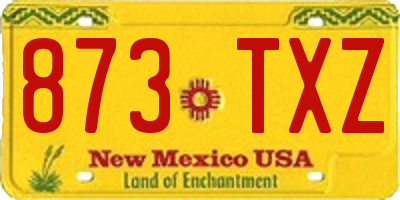 NM license plate 873TXZ