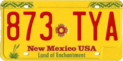 NM license plate 873TYA