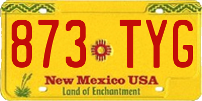 NM license plate 873TYG