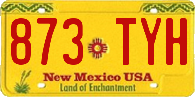 NM license plate 873TYH