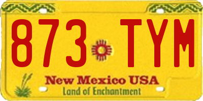 NM license plate 873TYM