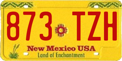 NM license plate 873TZH