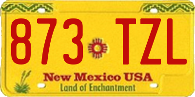 NM license plate 873TZL