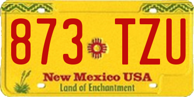 NM license plate 873TZU