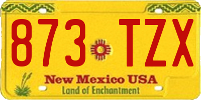 NM license plate 873TZX