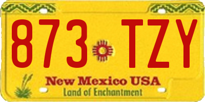 NM license plate 873TZY