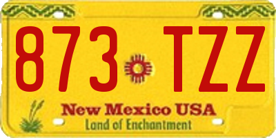 NM license plate 873TZZ