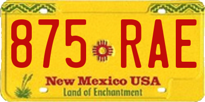 NM license plate 875RAE