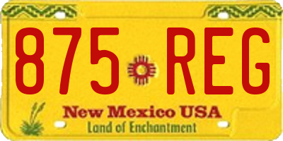 NM license plate 875REG
