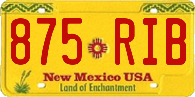NM license plate 875RIB