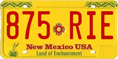 NM license plate 875RIE