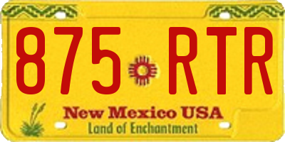 NM license plate 875RTR
