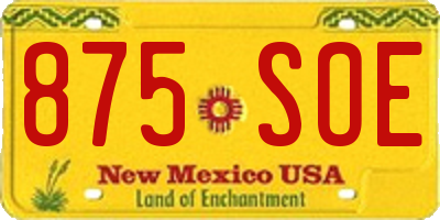 NM license plate 875SOE