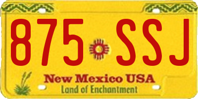 NM license plate 875SSJ