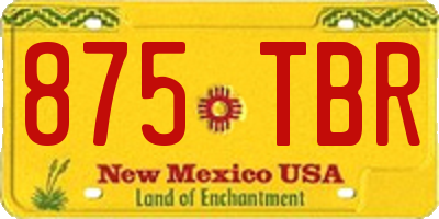 NM license plate 875TBR