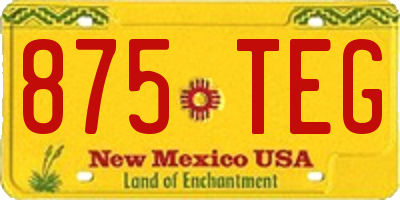 NM license plate 875TEG