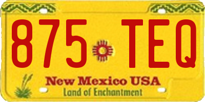 NM license plate 875TEQ