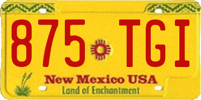 NM license plate 875TGI
