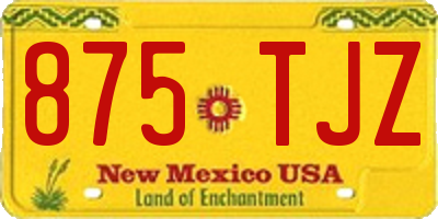 NM license plate 875TJZ