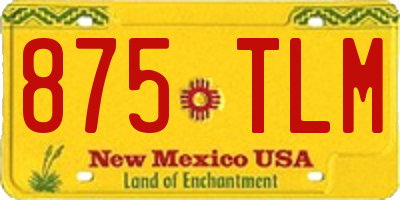 NM license plate 875TLM