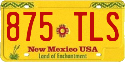 NM license plate 875TLS