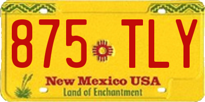NM license plate 875TLY