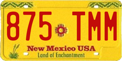 NM license plate 875TMM