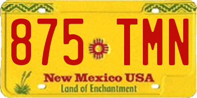 NM license plate 875TMN