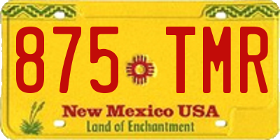 NM license plate 875TMR