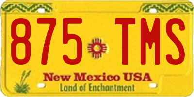 NM license plate 875TMS