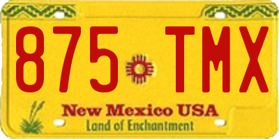 NM license plate 875TMX