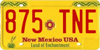 NM license plate 875TNE
