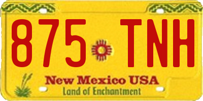 NM license plate 875TNH
