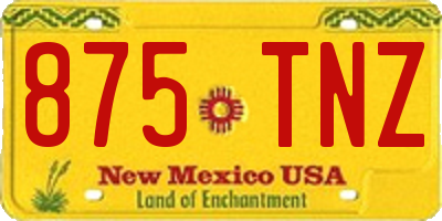 NM license plate 875TNZ