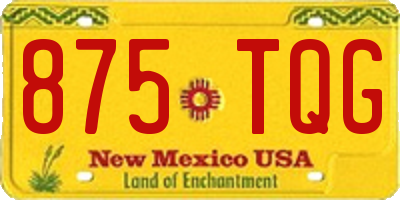 NM license plate 875TQG