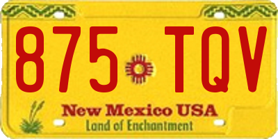 NM license plate 875TQV