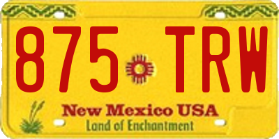 NM license plate 875TRW