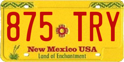 NM license plate 875TRY