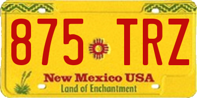 NM license plate 875TRZ